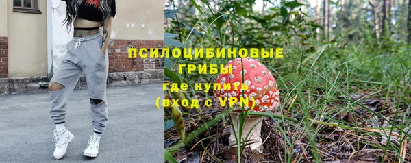 дживик Алексеевка