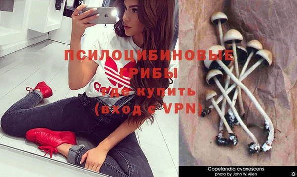 дурь Алексин