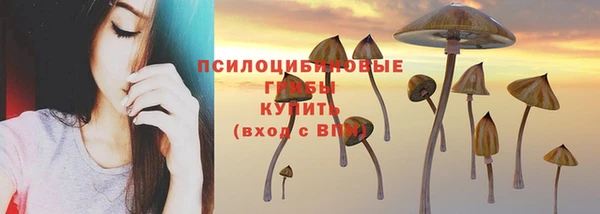 дживик Алексеевка