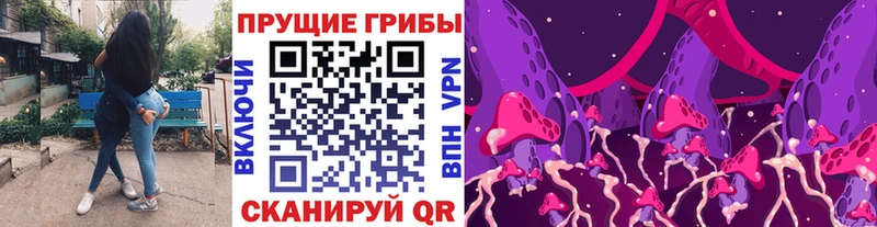Псилоцибиновые грибы Psilocybine cubensis  Шуя 