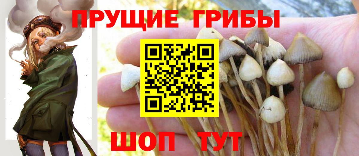 Галлюциногенные грибы Magic Shrooms  Вход с VPN  Шуя 