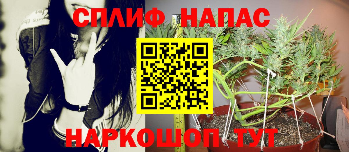 Каннабис планчик  Марихуана планчик  Конопля тримм  Вход с VPN  Шуя 